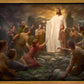 One Shepherd