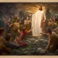 One Shepherd