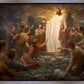 One Shepherd