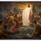 One Shepherd