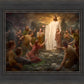 One Shepherd