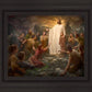 One Shepherd