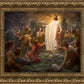 One Shepherd