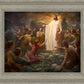 One Shepherd