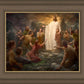 One Shepherd