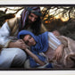 Protect