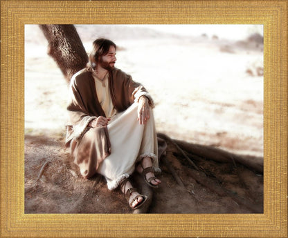 The Solitude of Christ