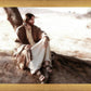 The Solitude of Christ