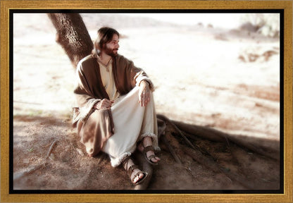 The Solitude of Christ