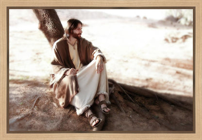 The Solitude of Christ