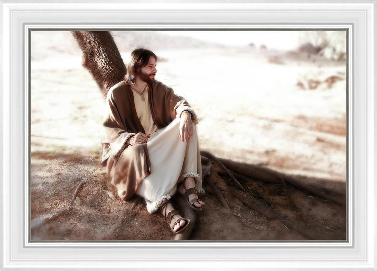 The Solitude of Christ