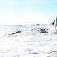 Footprints