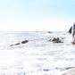 Footprints