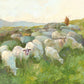 In The Care of The Shepherd