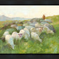 In The Care of The Shepherd
