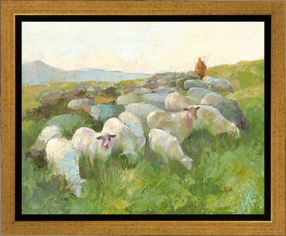 In The Care of The Shepherd