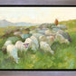 In The Care of The Shepherd