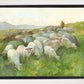 In The Care of The Shepherd