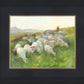 In The Care of The Shepherd