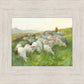 In The Care of The Shepherd