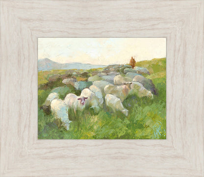 In The Care of The Shepherd