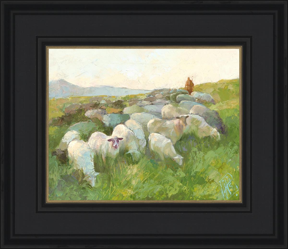 In The Care of The Shepherd
