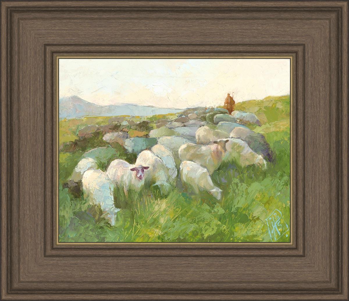 In The Care of The Shepherd