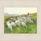 In The Care of The Shepherd