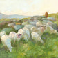 In The Care of The Shepherd