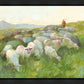 In The Care of The Shepherd