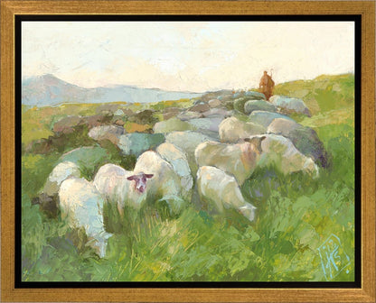 In The Care of The Shepherd