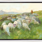 In The Care of The Shepherd