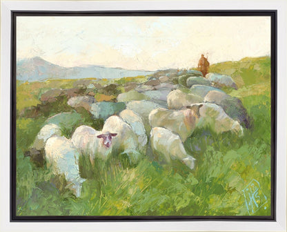 In The Care of The Shepherd