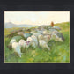 In The Care of The Shepherd