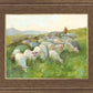 In The Care of The Shepherd