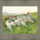 In The Care of The Shepherd