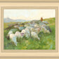 In The Care of The Shepherd