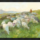In The Care of The Shepherd