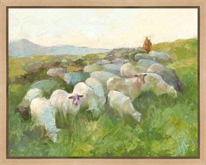 In The Care of The Shepherd