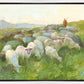 In The Care of The Shepherd