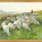 In The Care of The Shepherd
