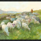 In The Care of The Shepherd