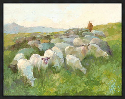 In The Care of The Shepherd