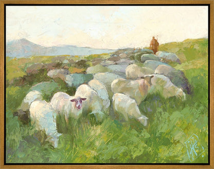 In The Care of The Shepherd