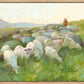 In The Care of The Shepherd