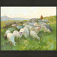 In The Care of The Shepherd
