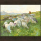 In The Care of The Shepherd