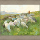 In The Care of The Shepherd