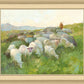 In The Care of The Shepherd
