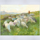 In The Care of The Shepherd